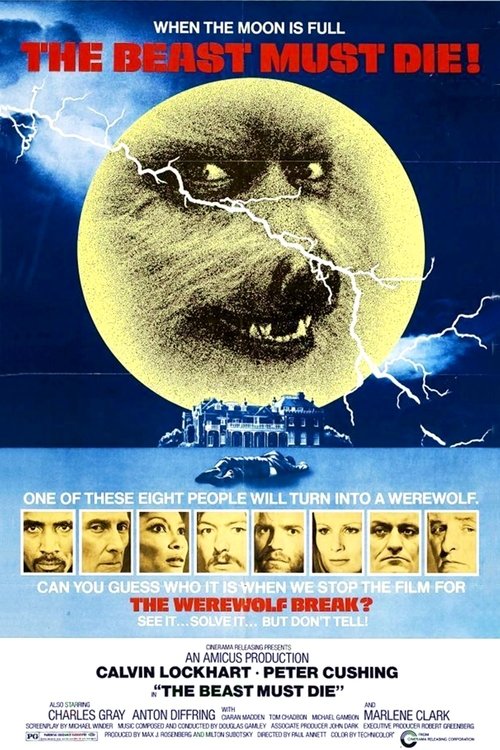 (Movie poster placeholder)